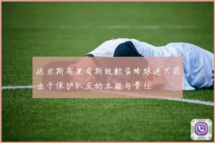 迈尔斯布里奇斯致歉黄蜂球迷只因出于保护队友的本能与责任