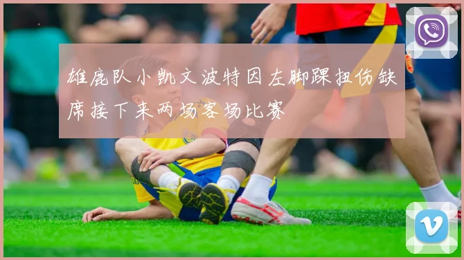 雄鹿队小凯文波特因左脚踝扭伤缺席接下来两场客场比赛