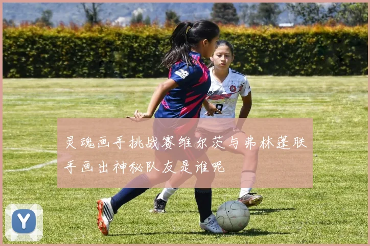 灵魂画手挑战赛维尔茨与弗林蓬联手画出神秘队友是谁呢