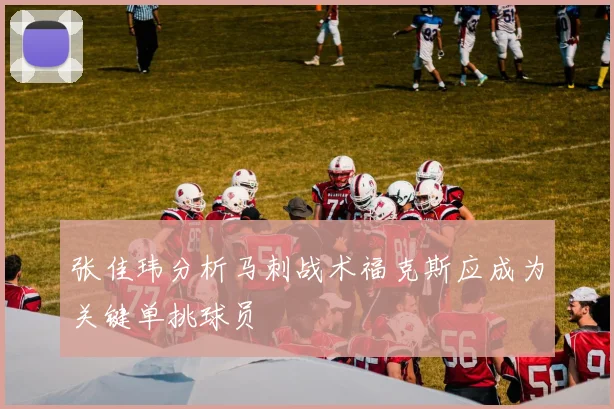 张佳玮分析马刺战术福克斯应成为关键单挑球员