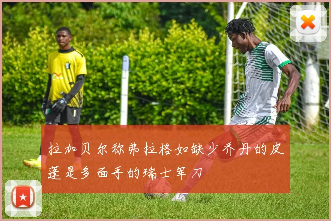 拉加贝尔称弗拉格如缺少乔丹的皮蓬是多面手的瑞士军刀