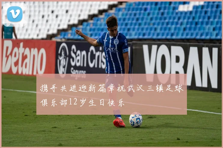 携手共进迎新篇章祝武汉三镇足球俱乐部12岁生日快乐