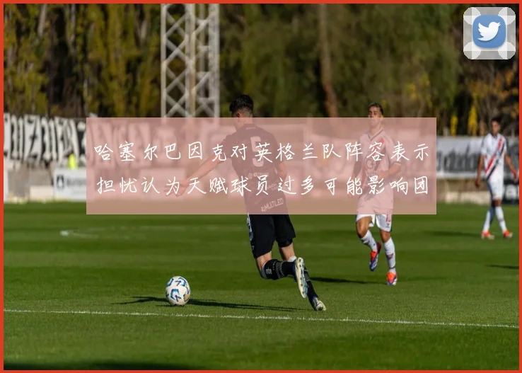 哈塞尔巴因克对英格兰队阵容表示担忧认为天赋球员过多可能影响团队合作